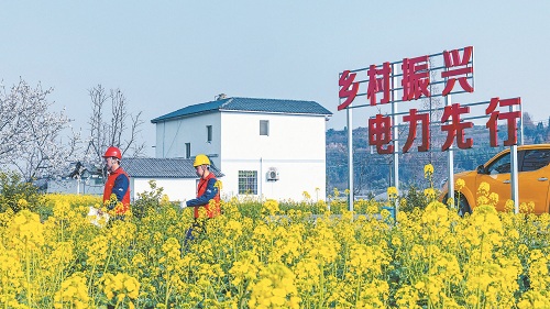 公司党组传达学习习近平总书记全国两会期间重要讲话精神